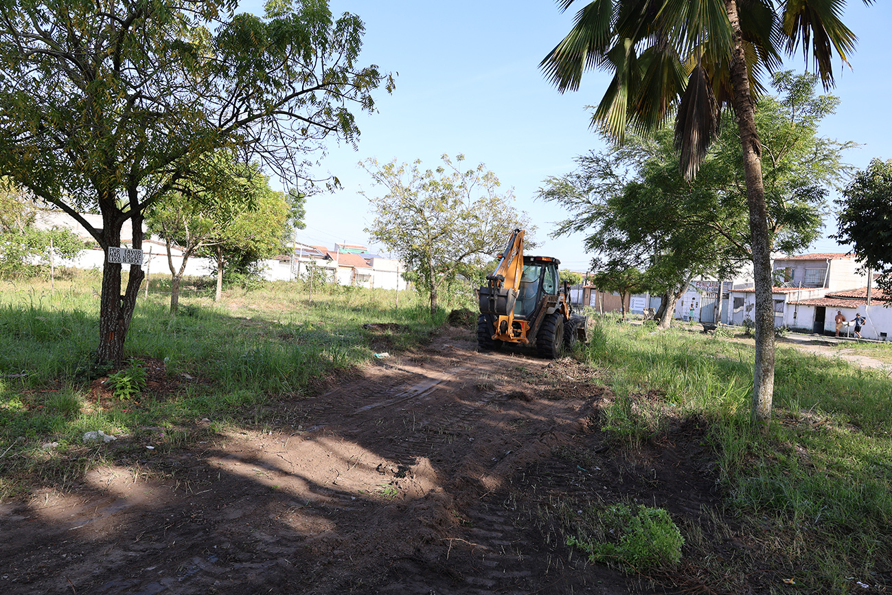 Foto: Reprodução/Prefeitura de Feira de Santana - BA